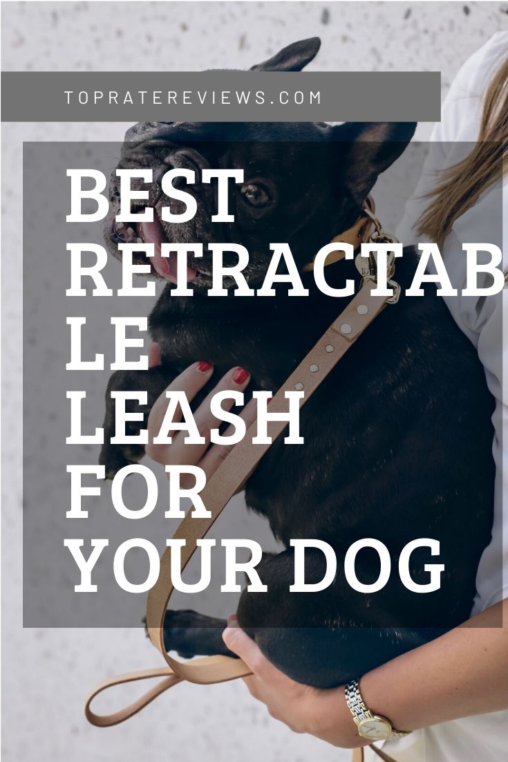 Best Retractable Dog Leash