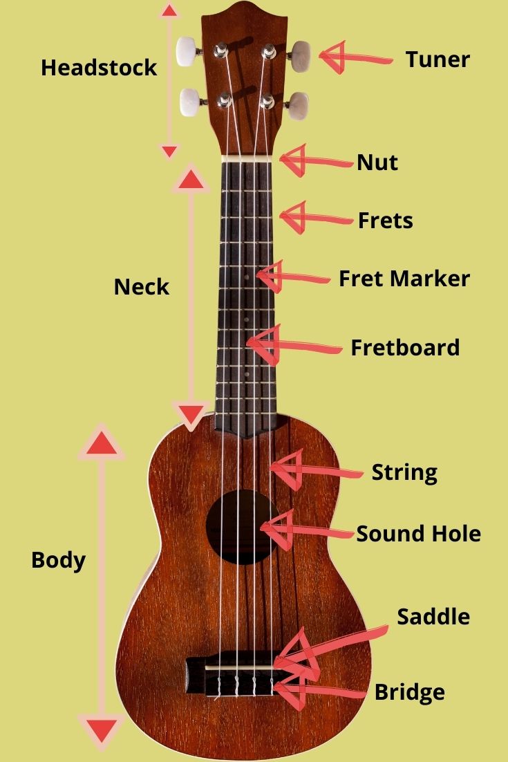 different parts of ukulele