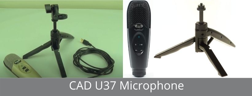 cad u37 microphone