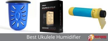 Best Ukulele Humidifier