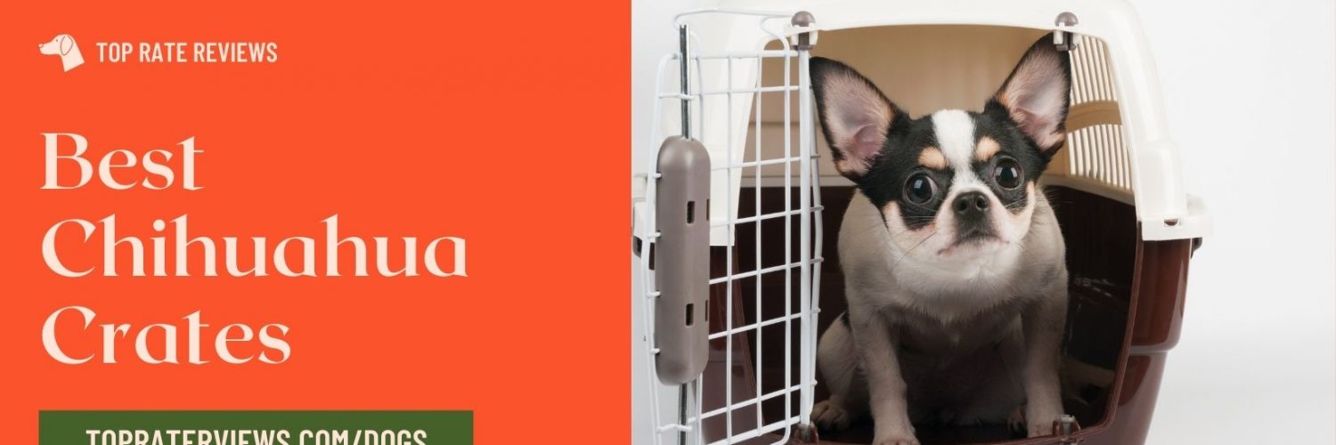 Best Chihuahua Crates