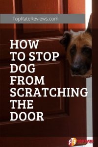 Dog scratching doors