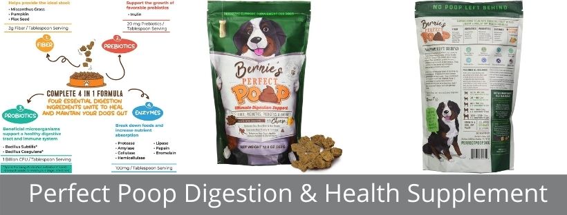 Perfect Poop Digestion Health Supplement