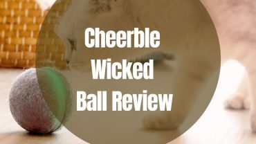 wicked ball reviews