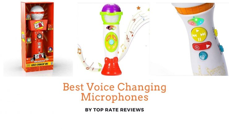 change your online voice mic