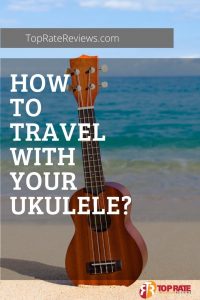 tips to travel with ukulele