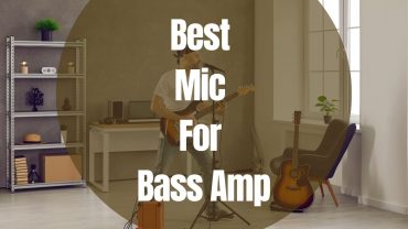 Best Mic For Bass Amp