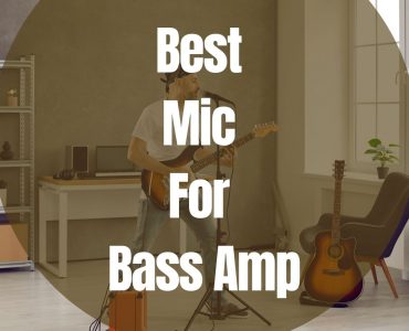 Best Mic For Bass Amp