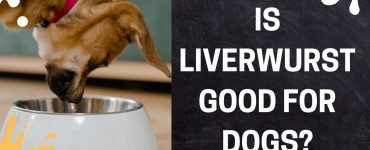 Is Liverwurst Good For Dogs
