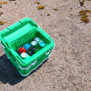 Best Cooler Box for Fishing