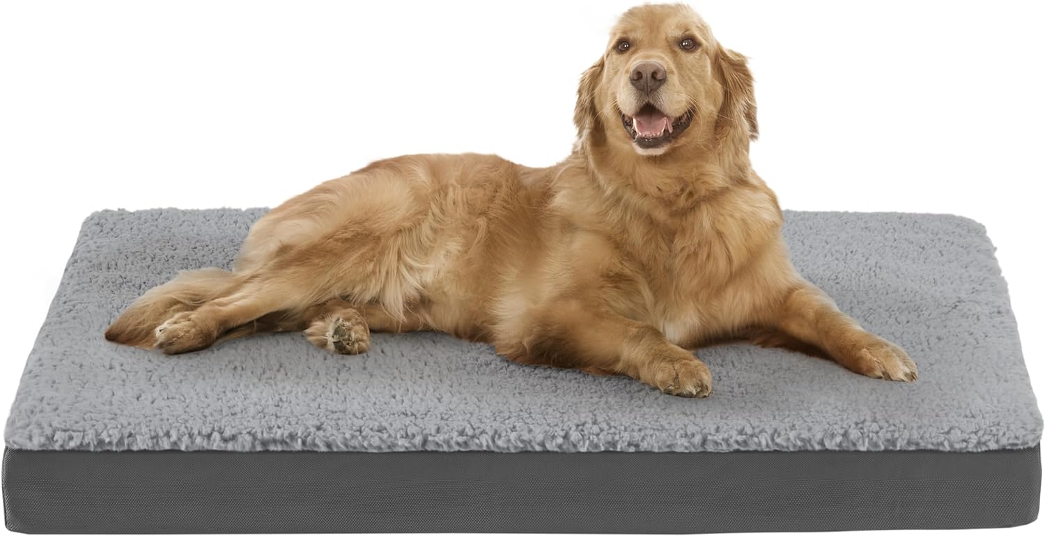 Codi Extra Large Dog Beds - Orthopedic Dog Beds XL for Extra Large Dogs with Foam Layer, Reversible Dog Mat with Removable Cover, Waterproof Pet Bed Machine Washable, Grey