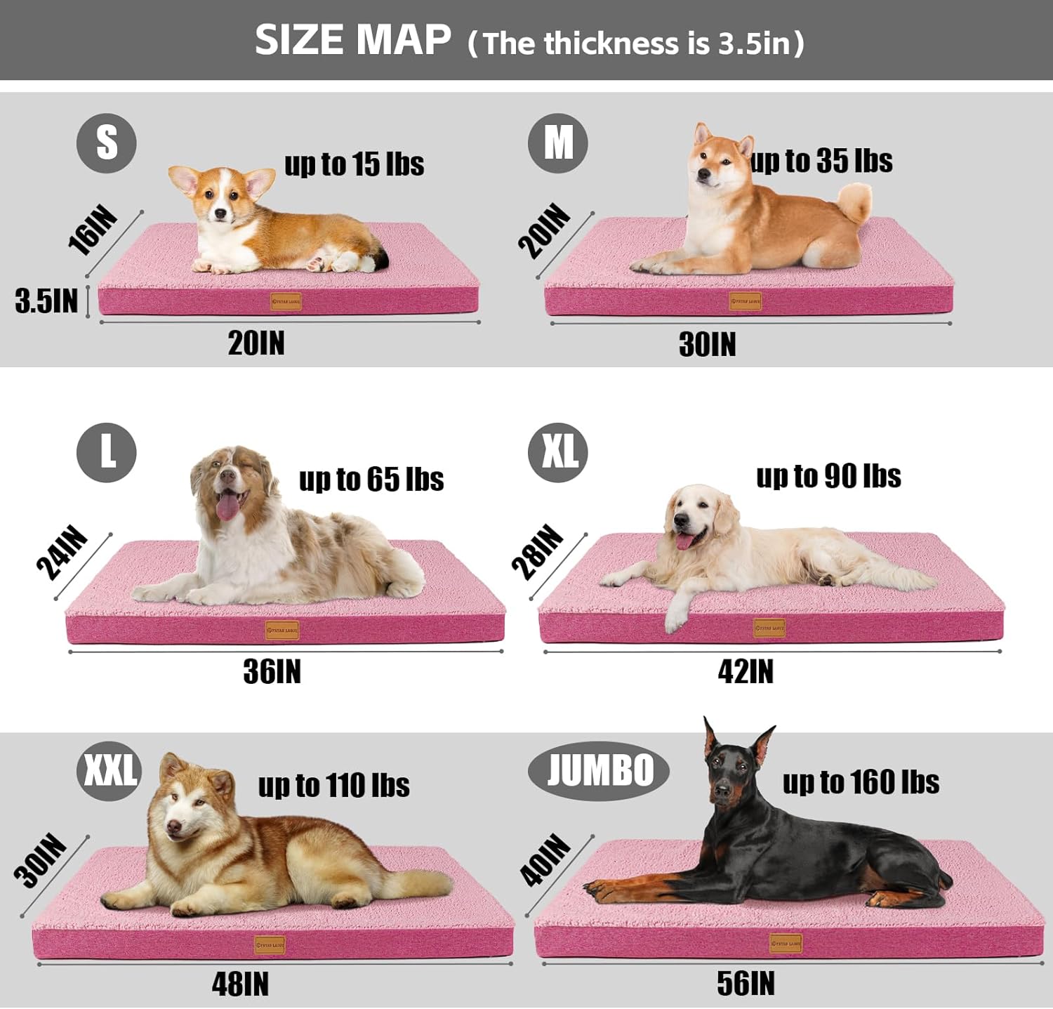 Patas Lague Orthopedic Dog Bed for Medium Dogs 36X24, Egg Crate Foam Medium Dog Beds with Removable Washable Cover,Waterproof Pet Bed Mat, Grey
